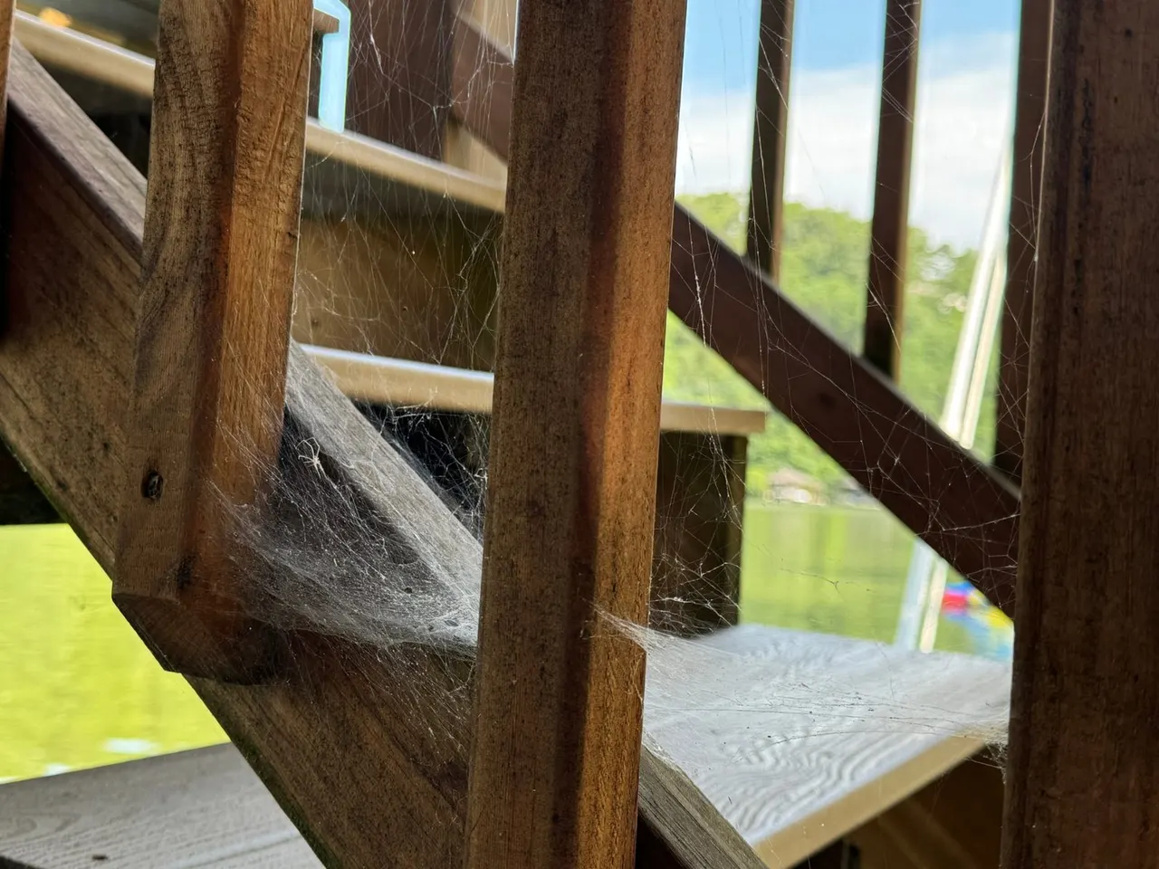 Thick cobwebs built up under wooden dock stairs